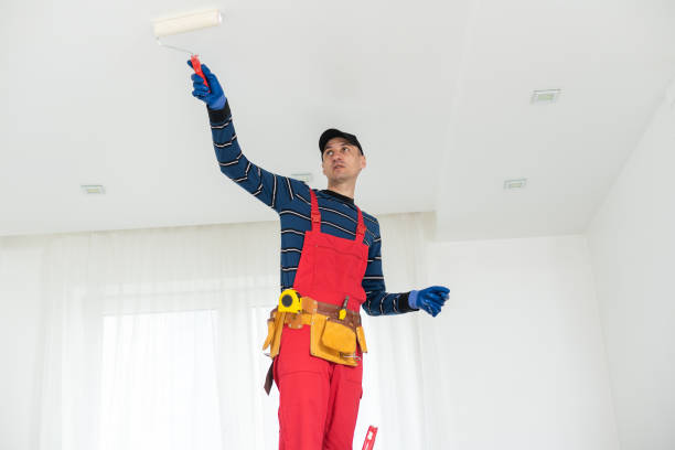 Best Fire-Damaged Drywall Repair  in Archer, FL